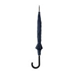 Samsonite Stick Auto Open Umbrella - Blue - White - 3